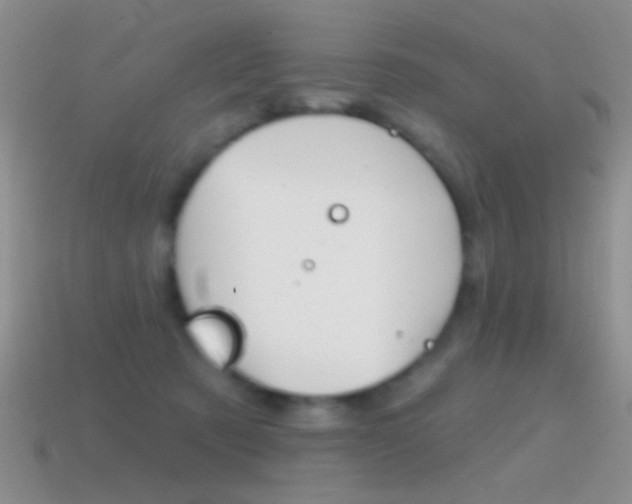 X0000114720321200910211057