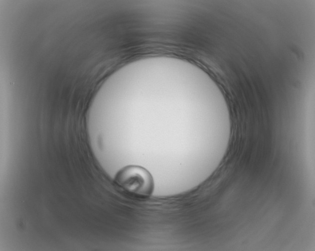 X0000114720325200910211057