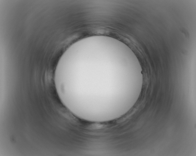 X0000114720326200910211057