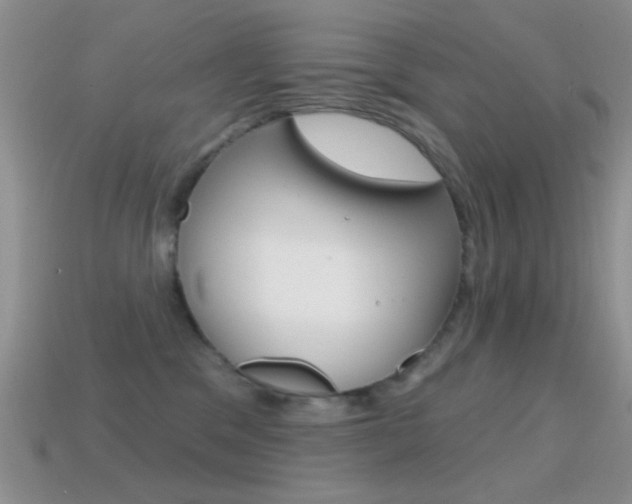 X0000114720329200910211057