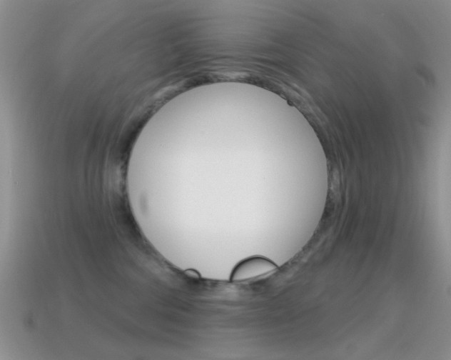 X0000114720330200910211057