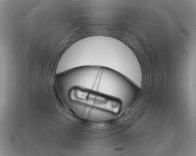 X0000114720332200910211057