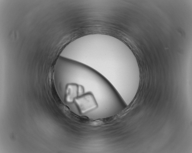 X0000114720333200910211057