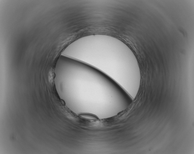 X0000114720335200910211057