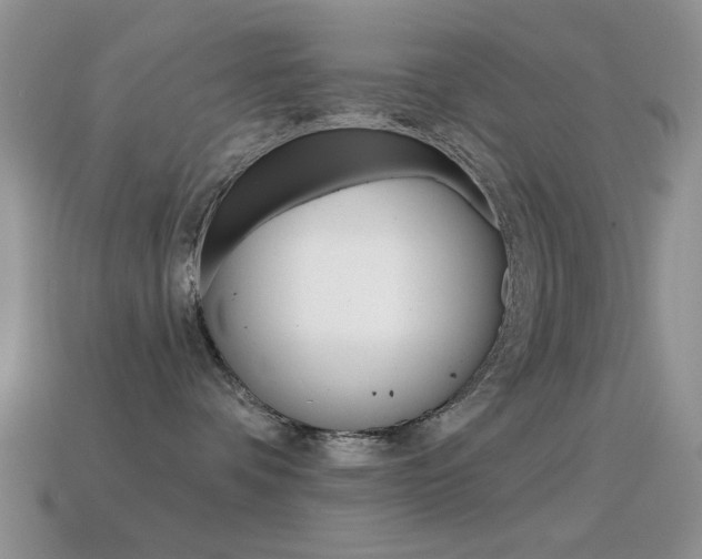 X0000114720336200910211057