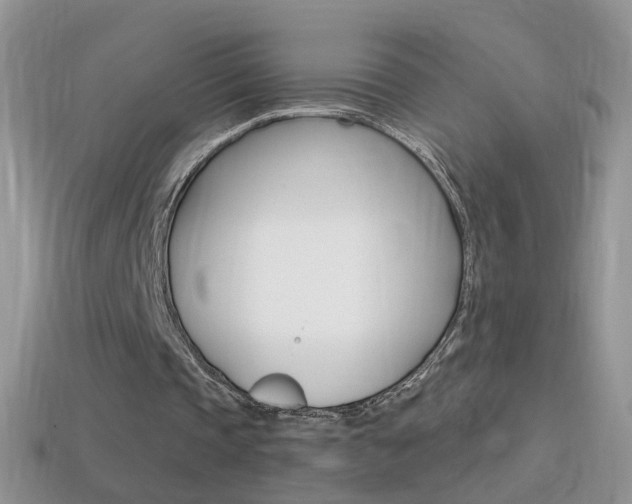 X0000114720337200910211056