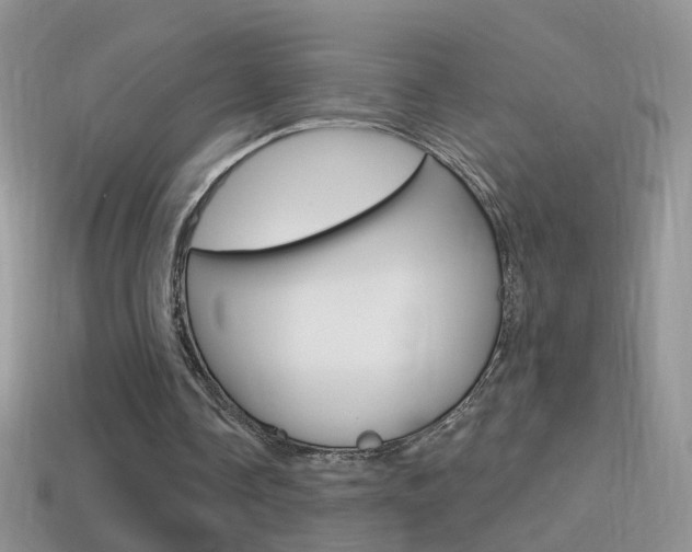 X0000114720338200910211056