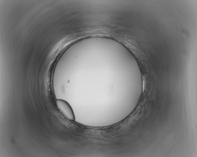 X0000114720339200910211056