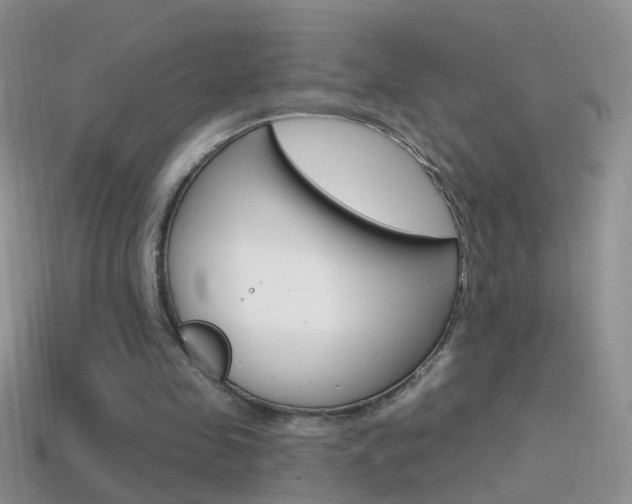 X0000114720341200910211056