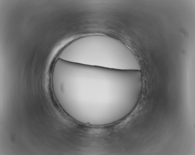 X0000114720342200910211056