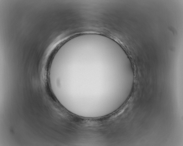 X0000114720343200910211056