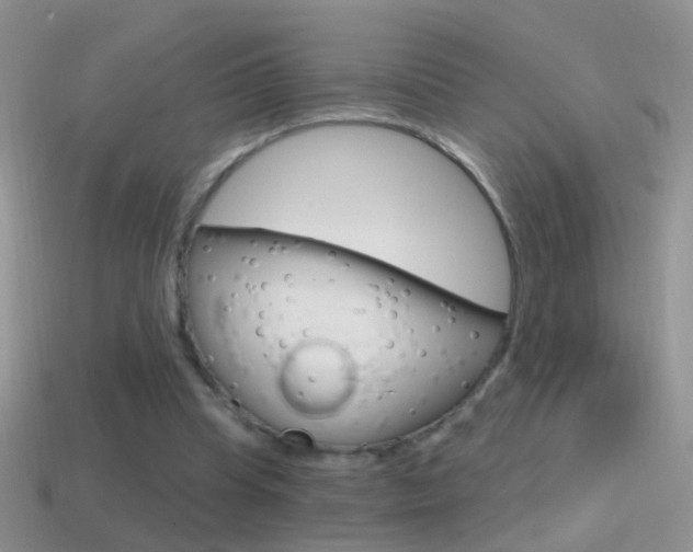 X0000114720345200910211056