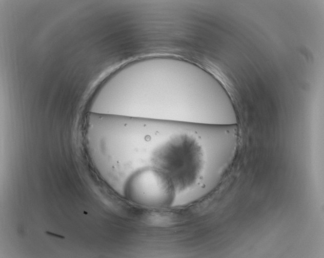 X0000114720346200910211056