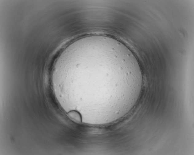 X0000114720347200910211056