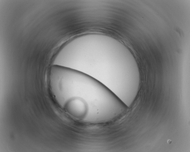 X0000114720349200910211056