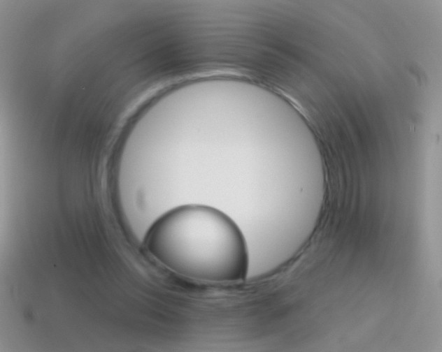 X0000114720350200910211056