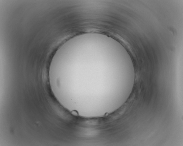 X0000114720353200910211056