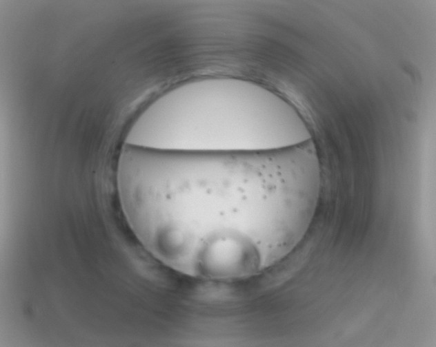 X0000114720354200910211057