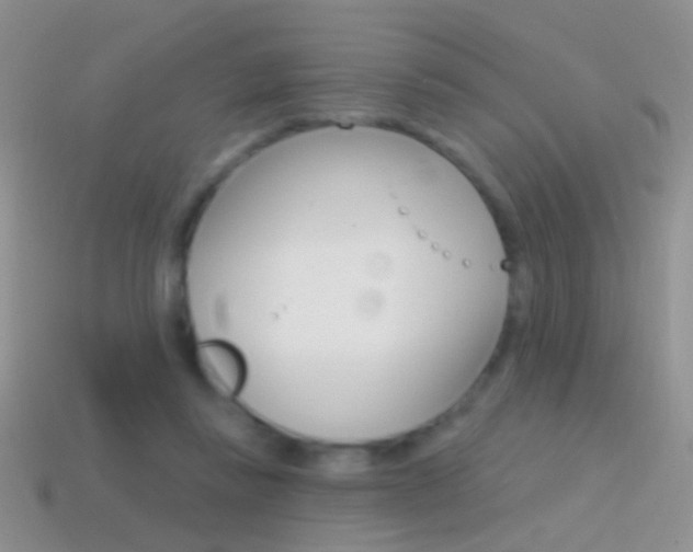 X0000114720355200910211057