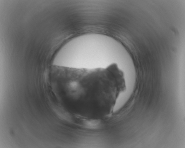 X0000114720359200910211057