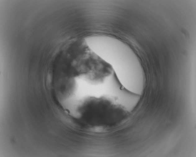 X0000114720365200910211057