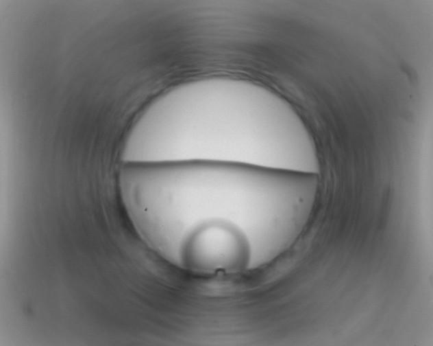 X0000114720366200910211057