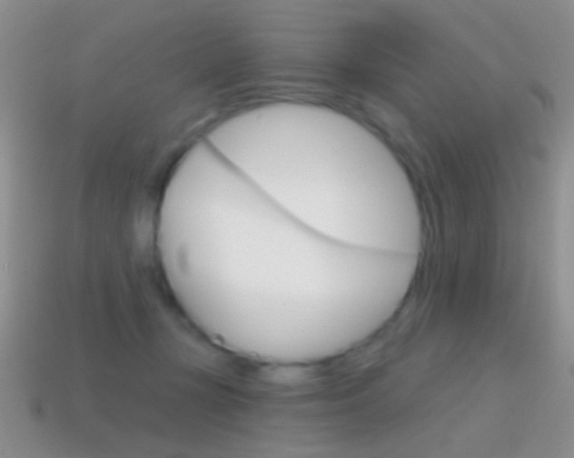 X0000114720367200910211057