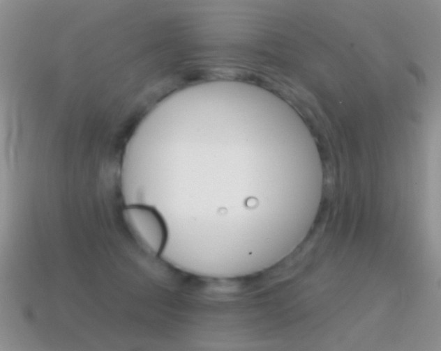 X0000114720369200910211057