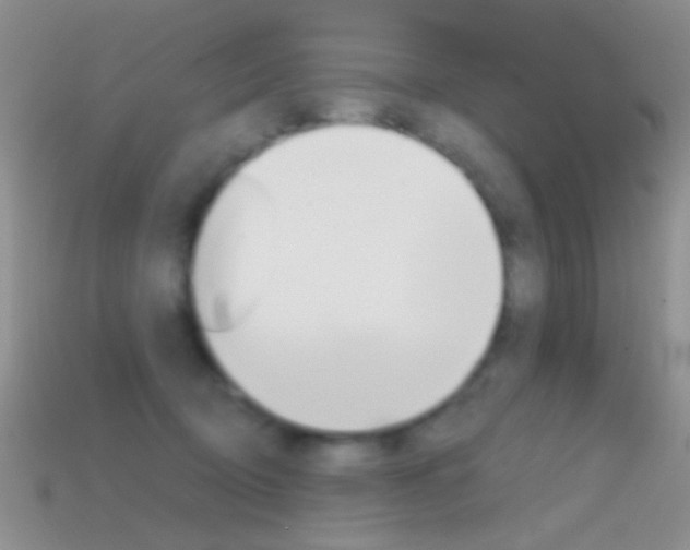 X0000114720370200910211057