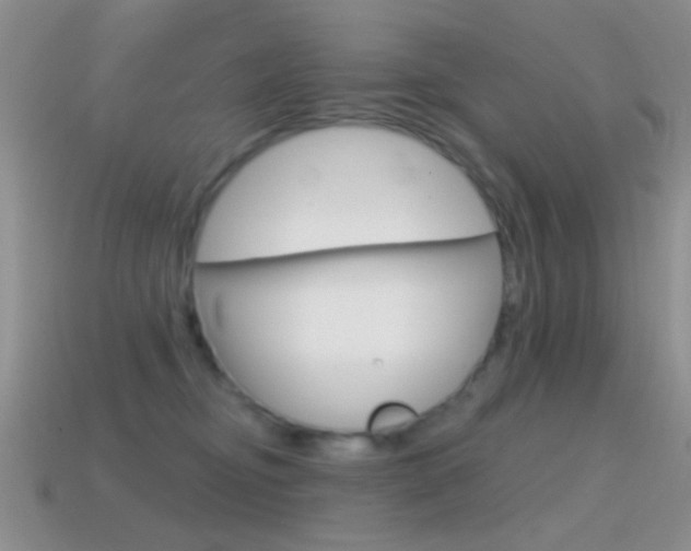 X0000114720374200910211057