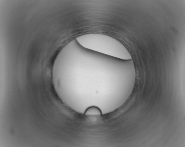 X0000114720375200910211057