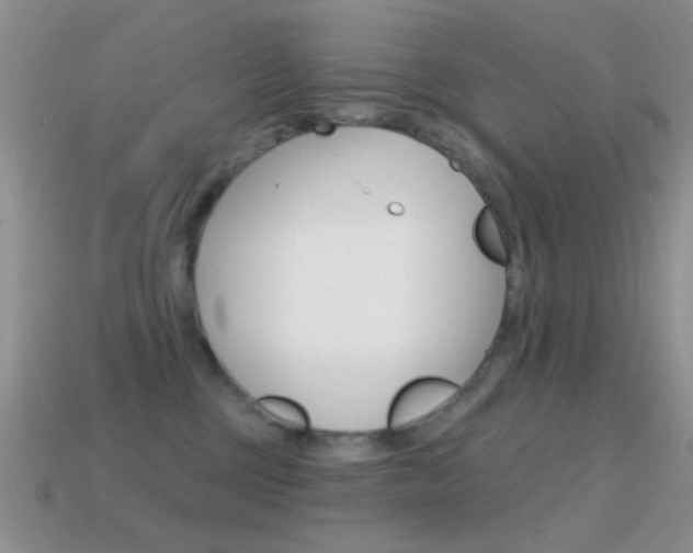 X0000114720377200910211057