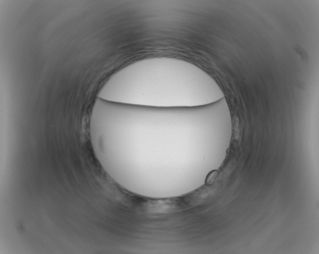 X0000114720378200910211057