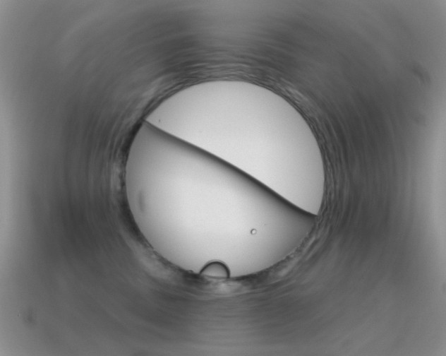 X0000114720379200910211057