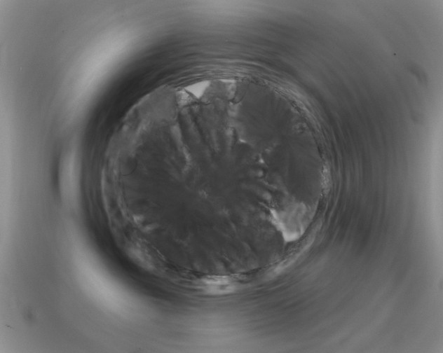 X0000114720381200910211057