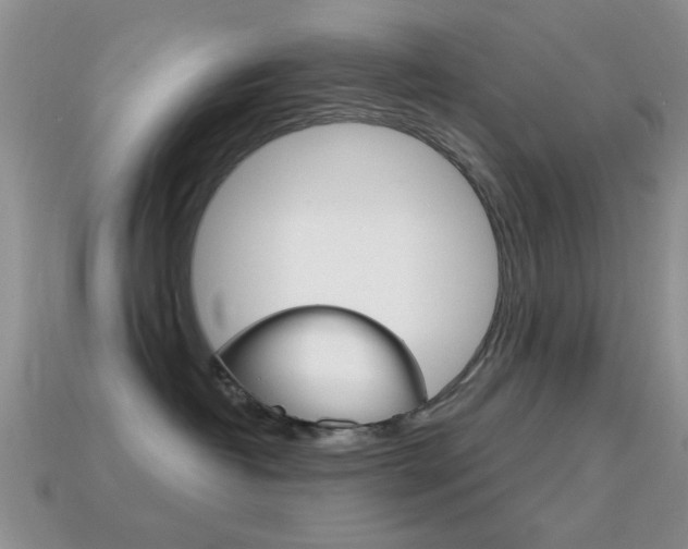 X0000114720382200910211057