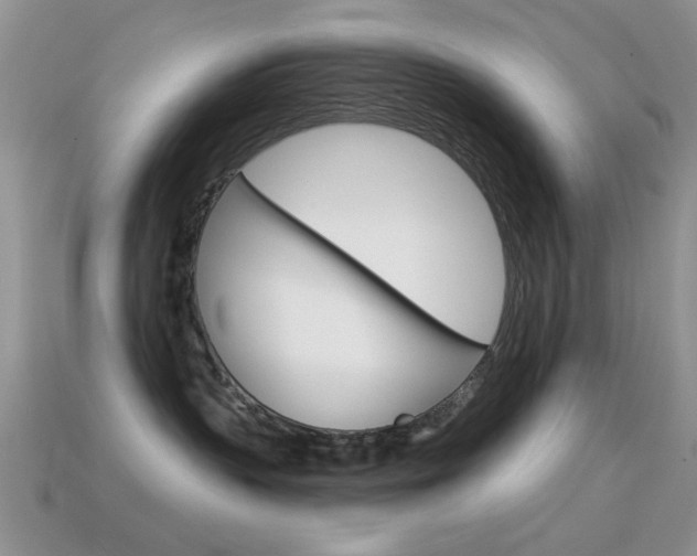 X0000114720383200910211057