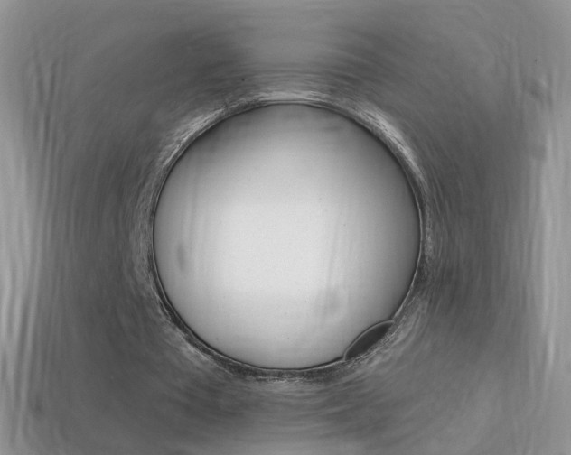 X0000114720385200910211056