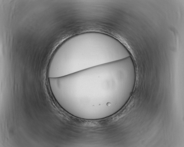 X0000114720386200910211056