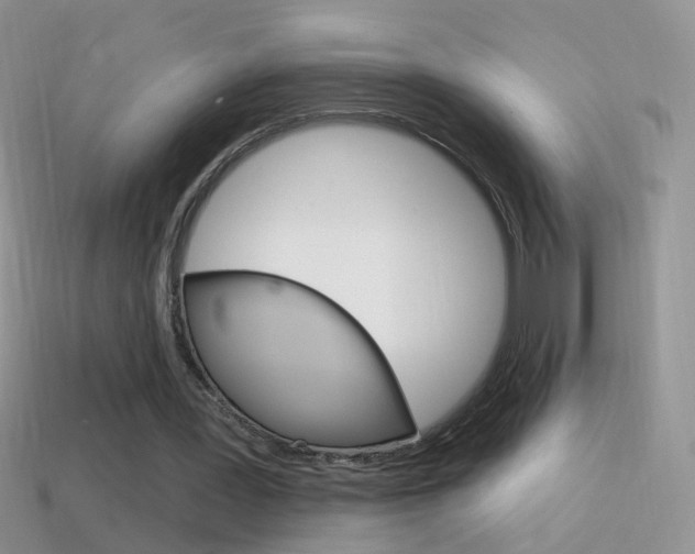 X0000114720387200910211056