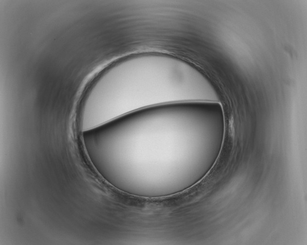 X0000114720388200910211056