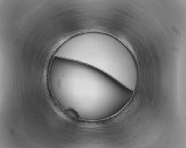 X0000114720389200910211056