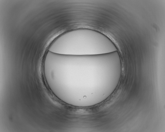 X0000114720390200910211056