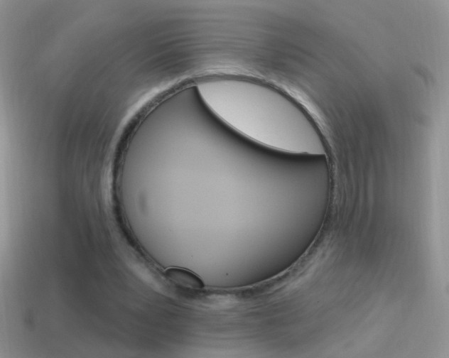 X0000114720391200910211056