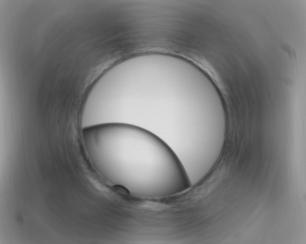 X0000114720393200910211056