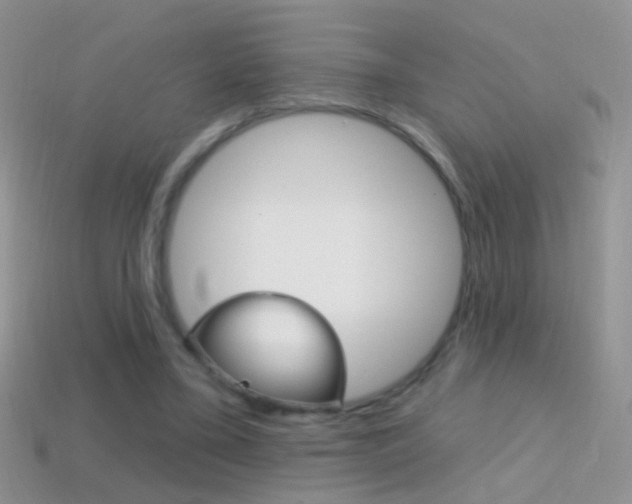 X0000114720395200910211056