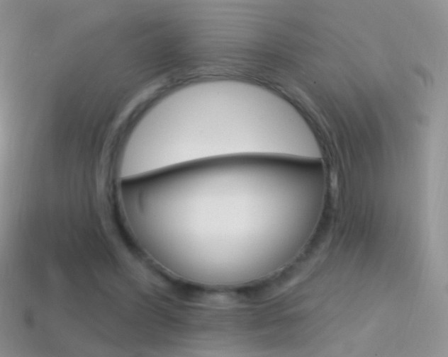 X0000114720396200910211056