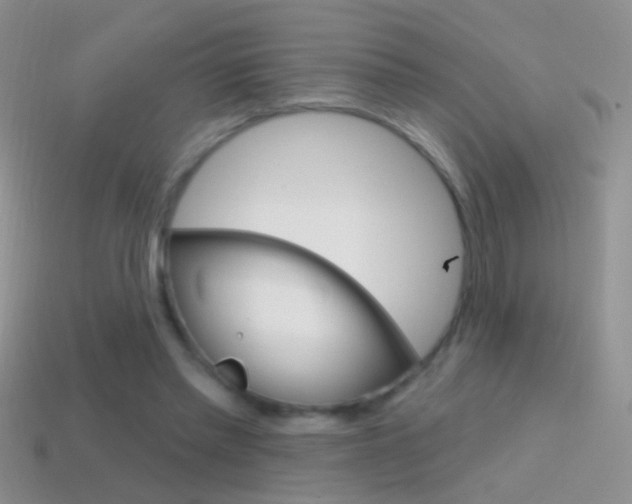 X0000114720397200910211056