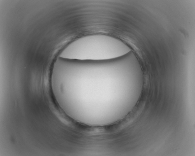 X0000114720398200910211056