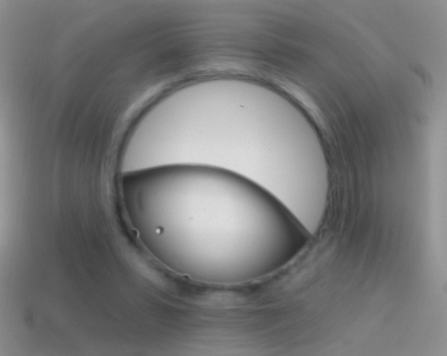 X0000114720399200910211056